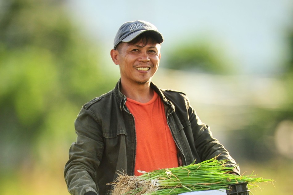 Farmer 1